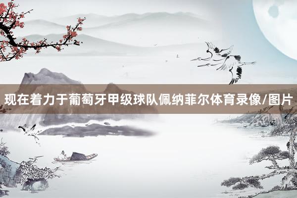 现在着力于葡萄牙甲级球队佩纳菲尔体育录像/图片