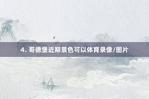 4. 哥德堡近期景色可以体育录像/图片