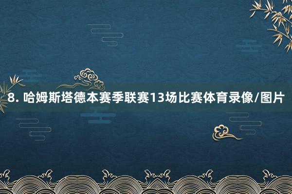 8. 哈姆斯塔德本赛季联赛13场比赛体育录像/图片