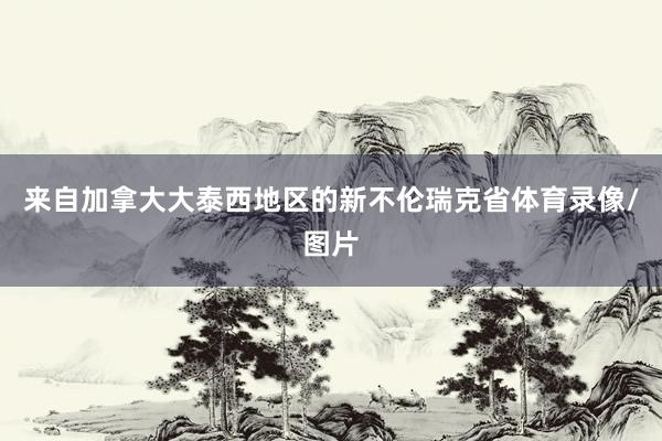 来自加拿大大泰西地区的新不伦瑞克省体育录像/图片