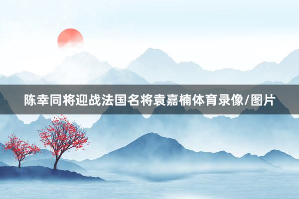 陈幸同将迎战法国名将袁嘉楠体育录像/图片