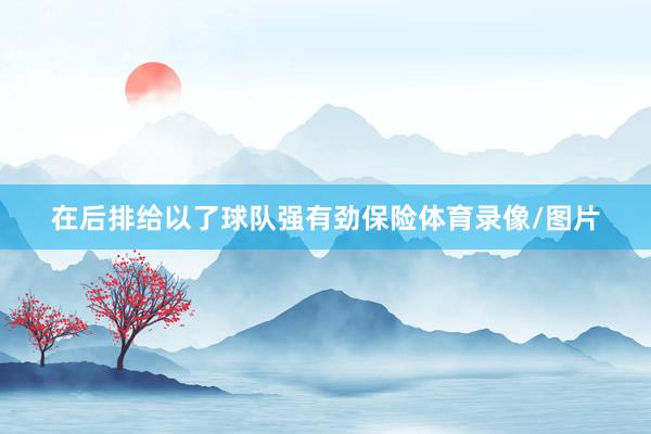在后排给以了球队强有劲保险体育录像/图片