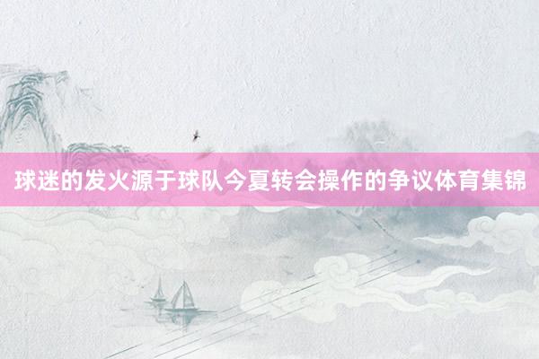球迷的发火源于球队今夏转会操作的争议体育集锦