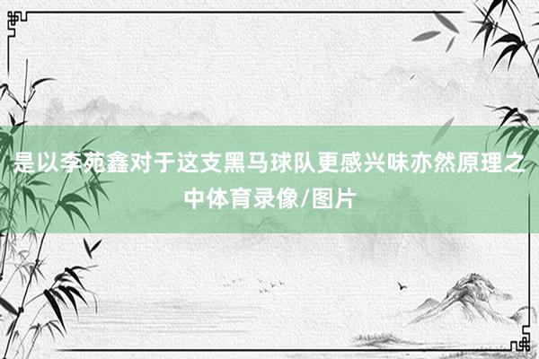 是以李苑鑫对于这支黑马球队更感兴味亦然原理之中体育录像/图片