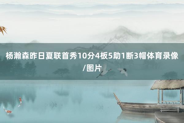 杨瀚森昨日夏联首秀10分4板5助1断3帽体育录像/图片