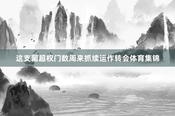 这支葡超权门数周来抓续运作转会体育集锦