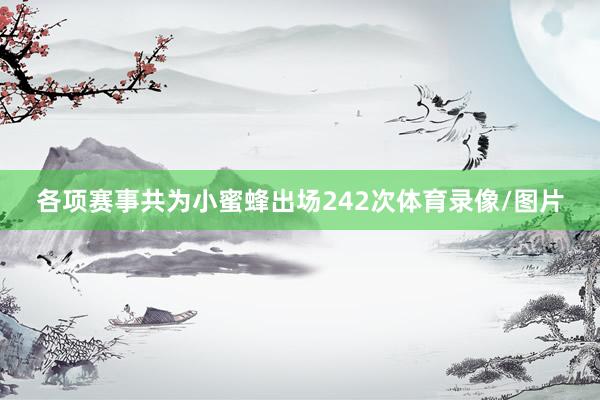 各项赛事共为小蜜蜂出场242次体育录像/图片