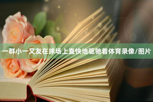 一群小一又友在球场上直快地驱驰着体育录像/图片