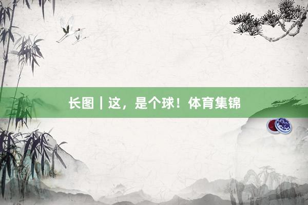 长图｜这，是个球！体育集锦