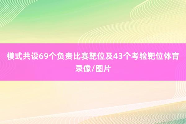 模式共设69个负责比赛靶位及43个考验靶位体育录像/图片