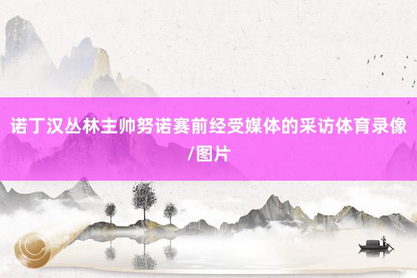 诺丁汉丛林主帅努诺赛前经受媒体的采访体育录像/图片