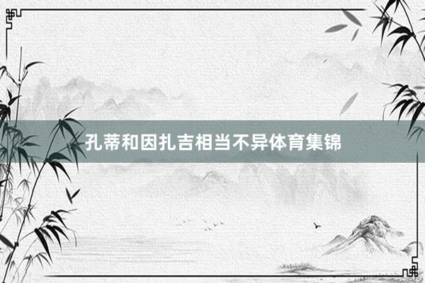孔蒂和因扎吉相当不异体育集锦