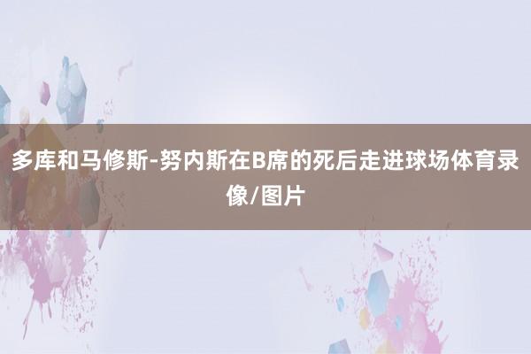 多库和马修斯-努内斯在B席的死后走进球场体育录像/图片