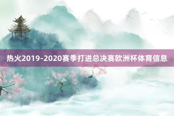 热火2019-2020赛季打进总决赛欧洲杯体育信息