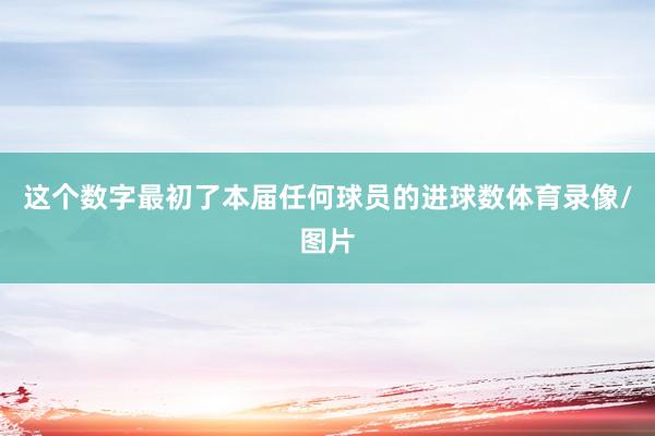 这个数字最初了本届任何球员的进球数体育录像/图片