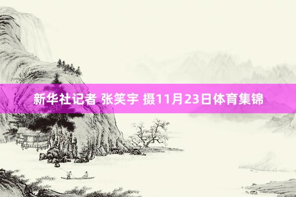 新华社记者 张笑宇 摄11月23日体育集锦