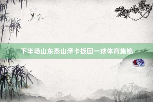下半场山东泰山泽卡扳回一球体育集锦