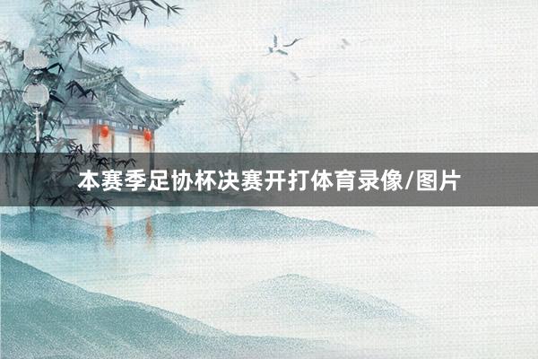 本赛季足协杯决赛开打体育录像/图片