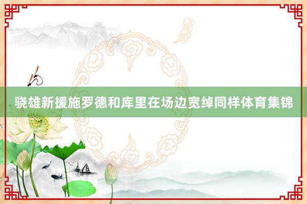 骁雄新援施罗德和库里在场边宽绰同样体育集锦