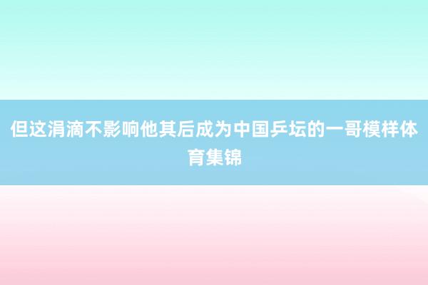 但这涓滴不影响他其后成为中国乒坛的一哥模样体育集锦