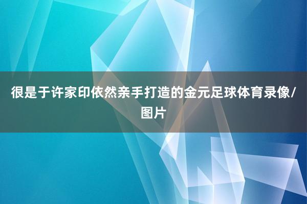 很是于许家印依然亲手打造的金元足球体育录像/图片