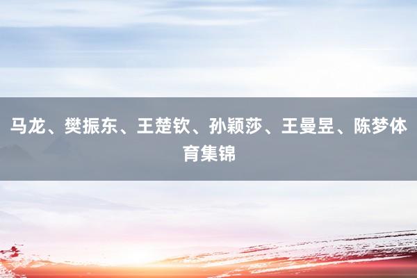 马龙、樊振东、王楚钦、孙颖莎、王曼昱、陈梦体育集锦