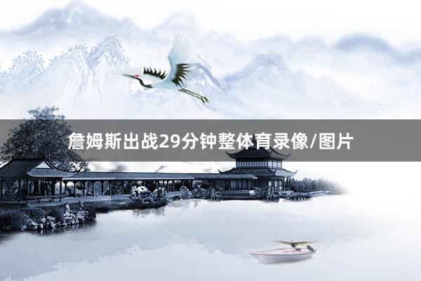 詹姆斯出战29分钟整体育录像/图片
