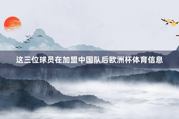 这三位球员在加盟中国队后欧洲杯体育信息