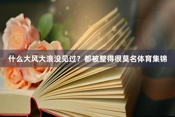 什么大风大浪没见过？都被整得很莫名体育集锦