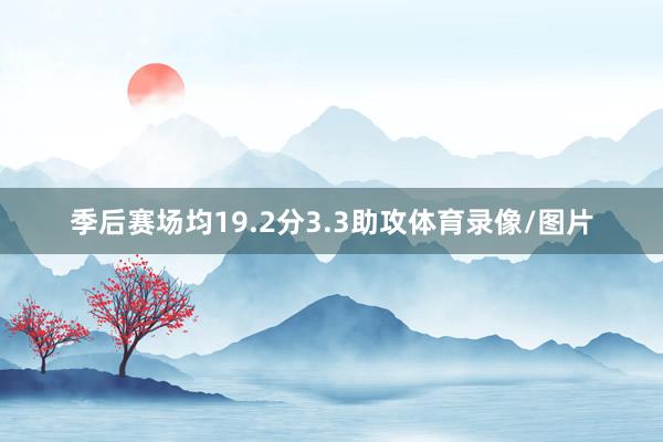 季后赛场均19.2分3.3助攻体育录像/图片
