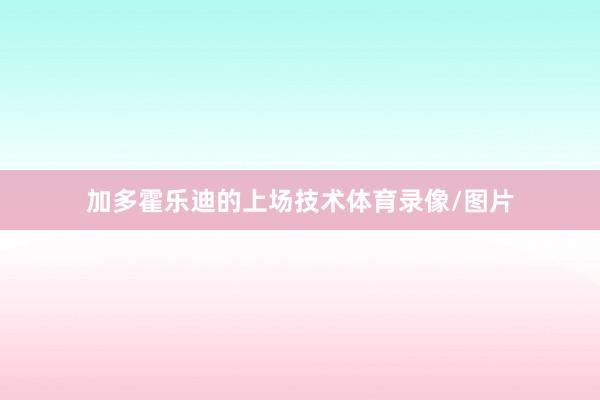 加多霍乐迪的上场技术体育录像/图片