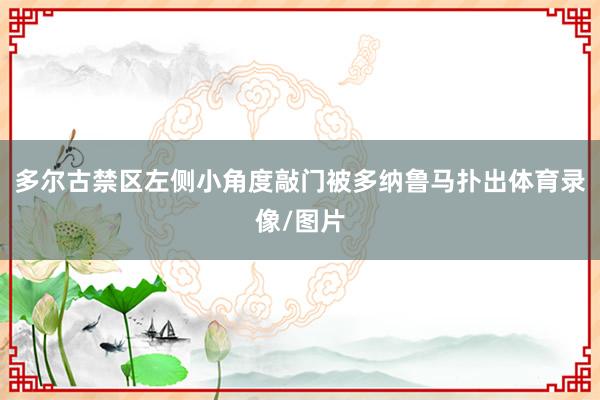 多尔古禁区左侧小角度敲门被多纳鲁马扑出体育录像/图片